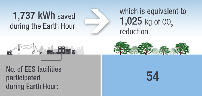 Earth Hour 2013 results on Emirates Energy Star projects