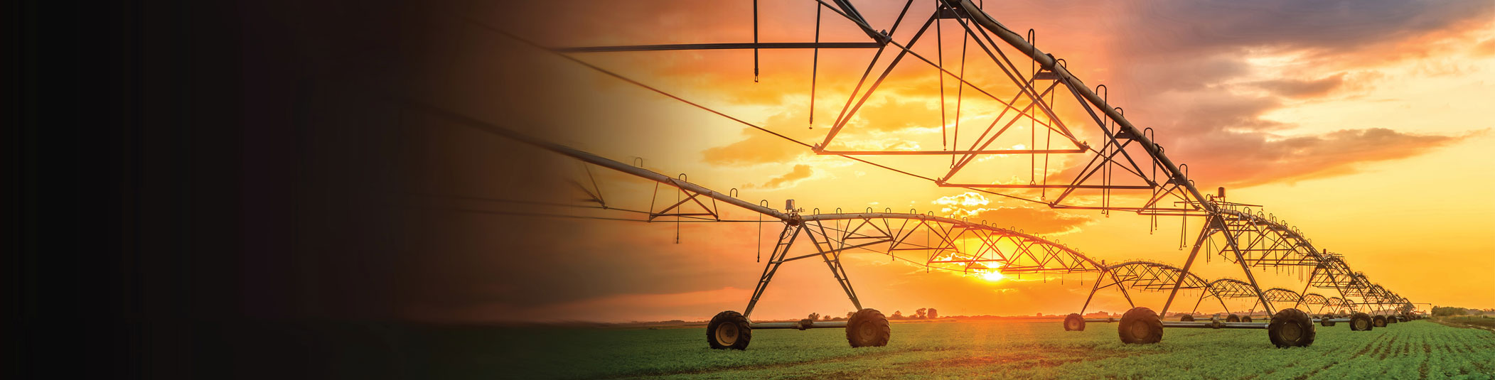 lorem ipsum dolor sit